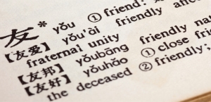 Translation and Transcription